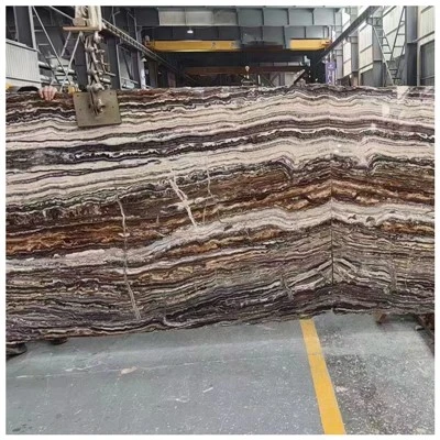 Jurassic Traonyx ploče