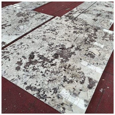 Splendor bijele granitne pločice